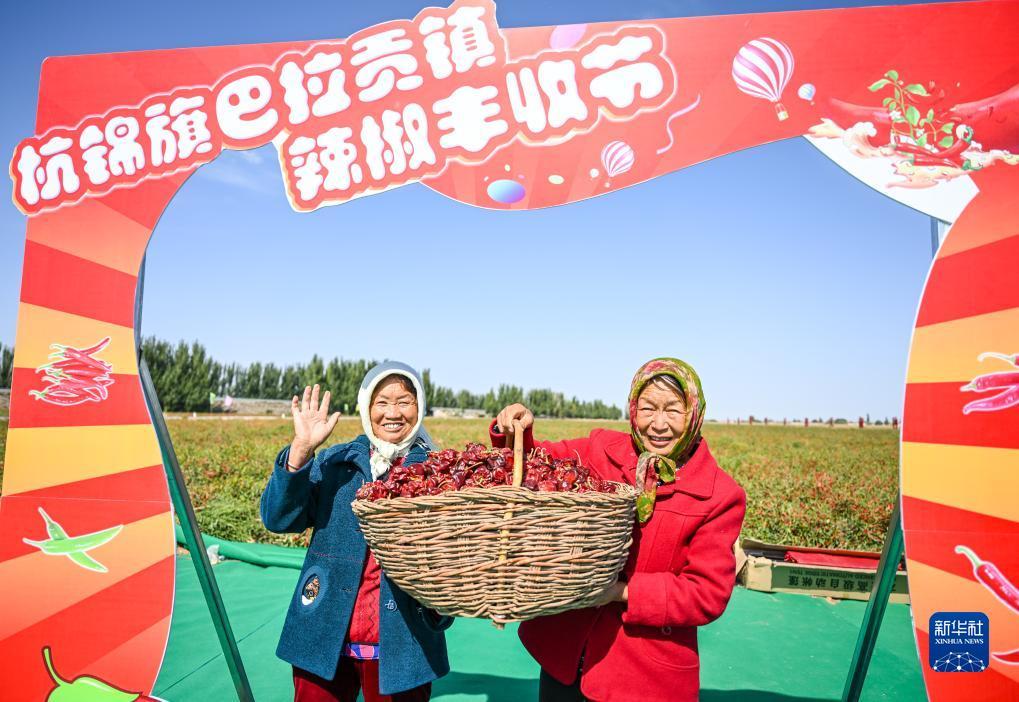 必赢客手机版官网平台